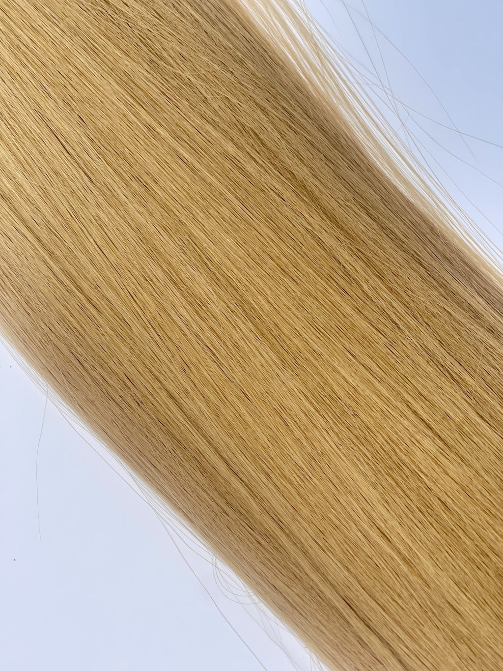 Vietnamese Raw Hair #27