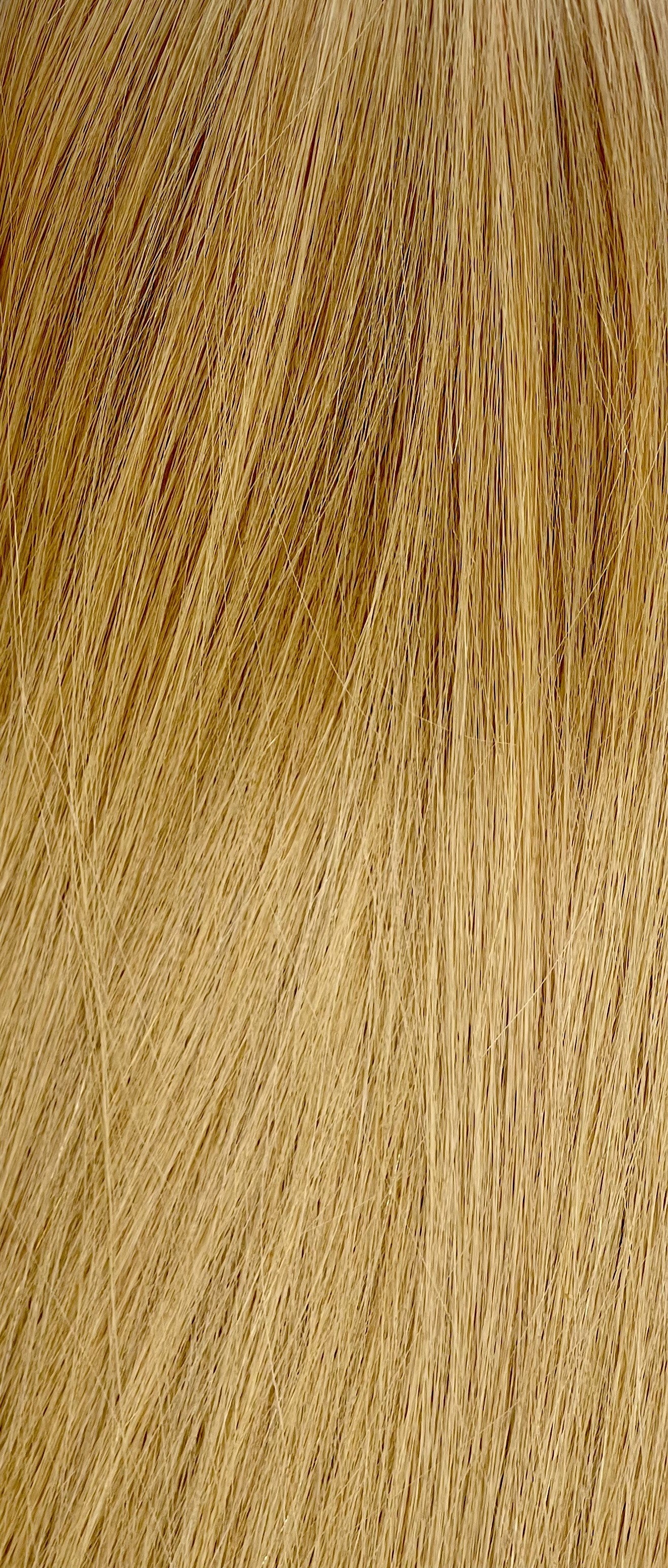 Vietnamese Raw Hair #27